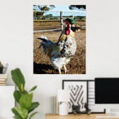 Gespikkelde rooster op Boerderij, Poster (Thuiskantoor)