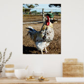 Gespikkelde rooster op Boerderij, Poster (Keuken)