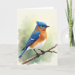 Gespikkelde Tak Vogel Kaart