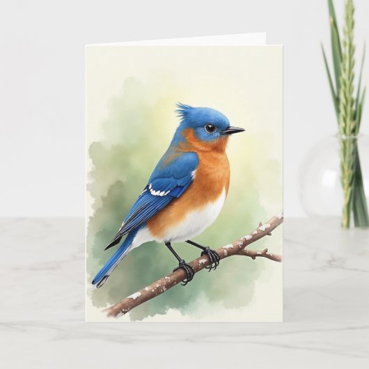 Gespikkelde Tak Vogel Kaart (Voorkant)