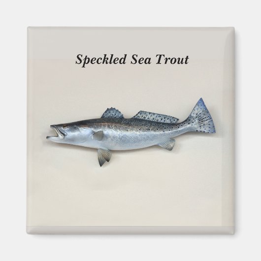 gespikkelde Zeeen forel Magneet (Voorkant)