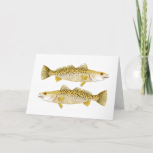 Gespikkelde zeeforel kaart