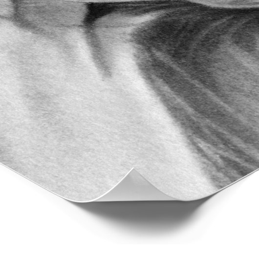 Gespiriteerd weg Gothic Beauty Poster (Hoek)