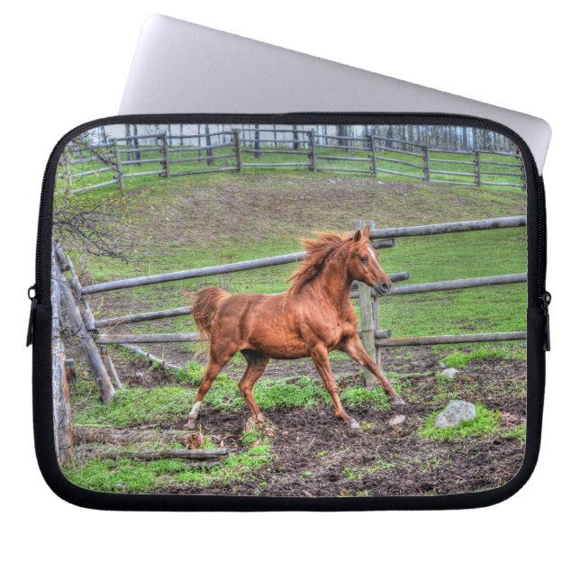 Gespiriteerde Dun-Pony, Paard die op Ranch loopt Laptop Sleeve (Voorkant)