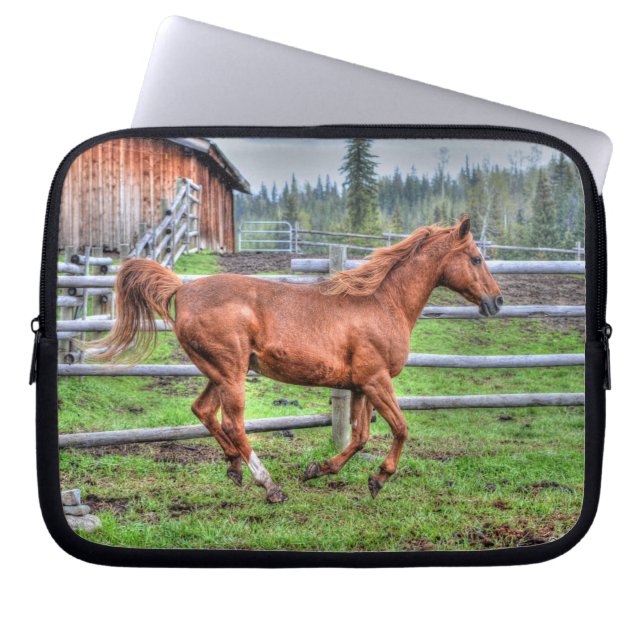 Gespiriteerde Dun-Pony, paarden die lopen op Ranch Laptop Sleeve (Voorkant)