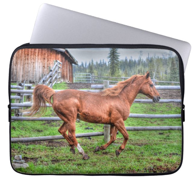 Gespiriteerde Dun-Pony, paarden die lopen op Ranch Laptop Sleeve (Voorkant)
