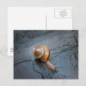Gespiriteerde slak op een regenachtige dag briefkaart (Voorkant / Achterkant)