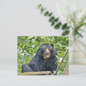 Gespitst Beer - Briefkaart (Staand voorkant)