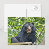 Gespitst Beer - Briefkaart (Voorkant / Achterkant)