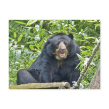 Gespitst Beer - Briefkaart