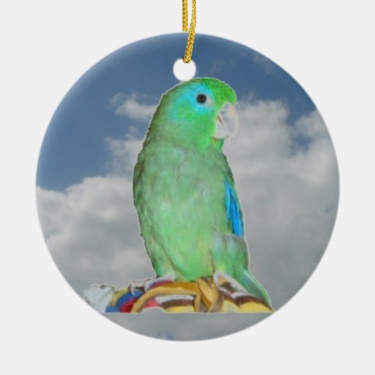 Gespitste Parrotlet Keramisch Ornament (Voorkant)