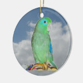 Gespitste Parrotlet Keramisch Ornament (Links)