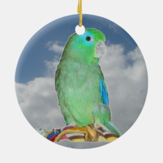 Gespitste Parrotlet Keramisch Ornament (Achterkant)