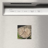 Gespleten hart stomp magneten (Insitu (Vaatwasser))