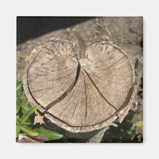 Gespleten hart stomp magneten (Voorkant)