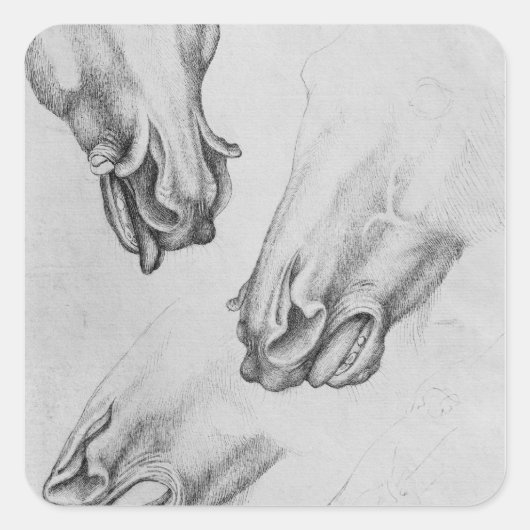 Gespleten neusgaten van paarden vierkante sticker (Voorkant)