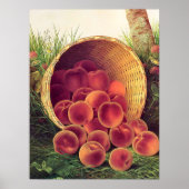 Gespoelde perziken poster (Voorkant)