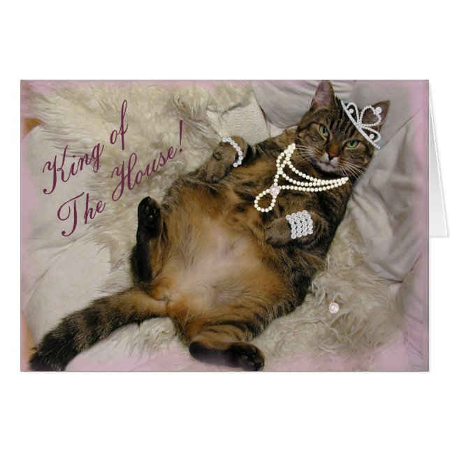 GESPOILEERD PRINCESS CAT LAYING ON BACK (Voorkant Horizontaal)