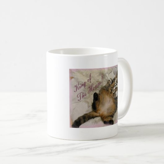 GESPOILEERD PRINCESS CAT LAYING ON BACK KOFFIEMOK (Voorkant rechts)