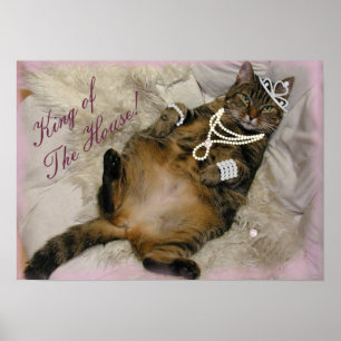 GESPOILEERD PRINCESS CAT LAYING ON BACK POSTER