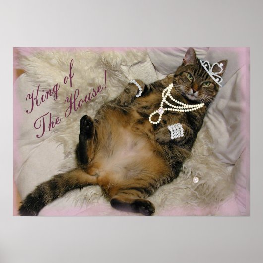 GESPOILEERD PRINCESS CAT LAYING ON BACK POSTER (Voorkant)