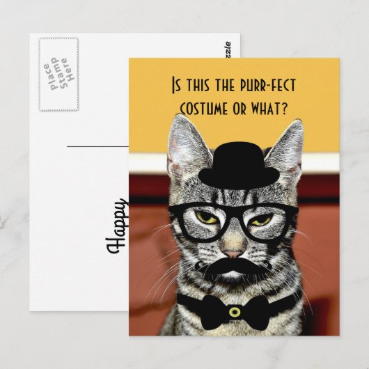 Gesponnen kat briefkaart (Voorkant / Achterkant)