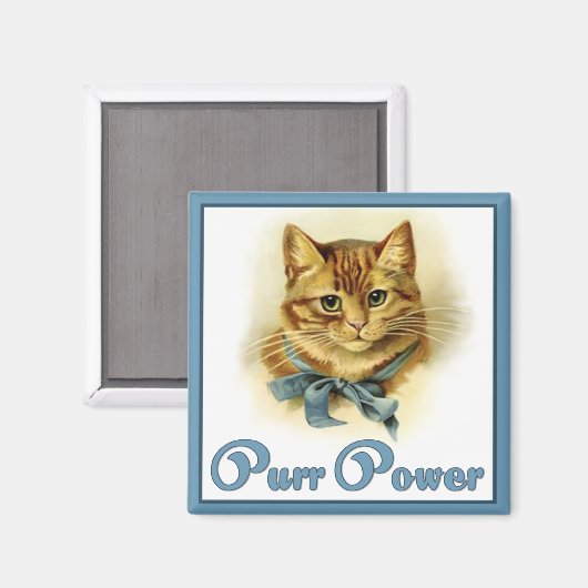 Gesponnen vermogen magneet (Voorkant / Achterkant)