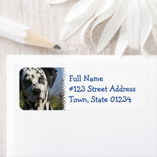 Gespot Dalmatische retour adres label (Insitu)