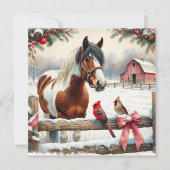 Gespot Pinto Paard en Kardinalen Gepersonaliseerd (Voorkant)