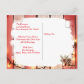 Gespot Pinto Paard en Kardinalen Gepersonaliseerd Briefkaart (Achterkant)