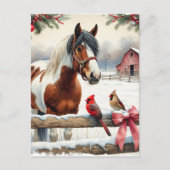 Gespot Pinto Paard en Kardinalen Gepersonaliseerd Briefkaart (Voorkant)