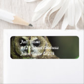 Gespot Uil Mailing Label (Insitu)