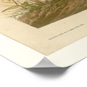 Gespotte groepen poster (Hoek)