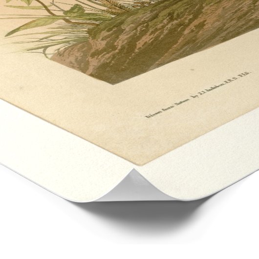 Gespotte groepen poster (Hoek)