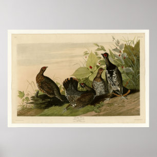 Gespotte groepen poster