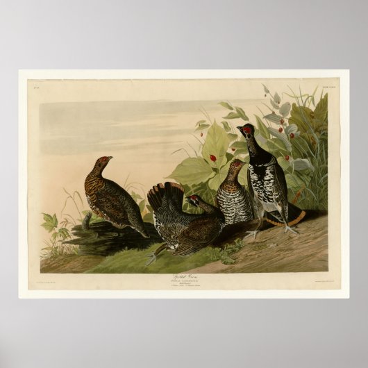 Gespotte groepen poster (Voorkant)