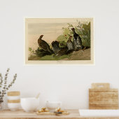 Gespotte groepen poster (Keuken)