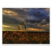 Gesprekken met de wind foto afdruk (Voorkant)