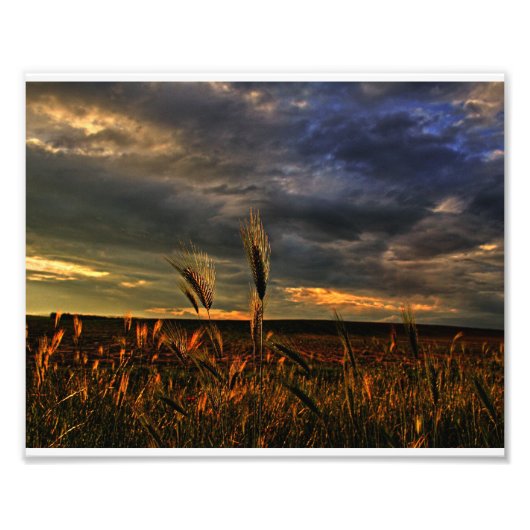 Gesprekken met de wind foto afdruk (Voorkant)