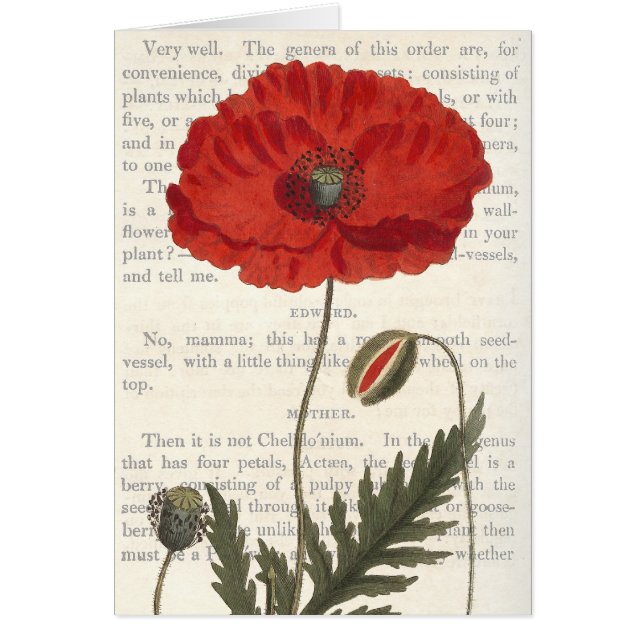 Gesprekken op Botany - de Common Poppy (Voorkant)