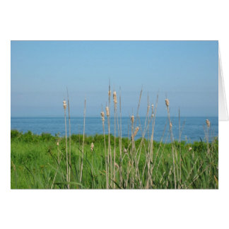 Gesprekken van het Zee