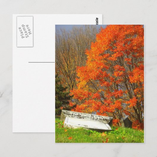 Gestallen Briefkaart (Voorkant / Achterkant)