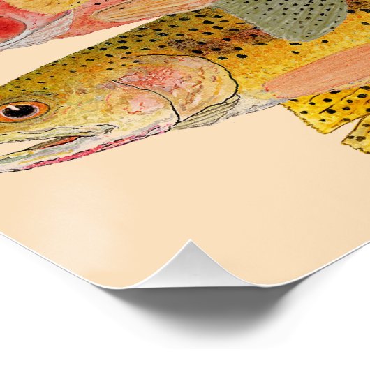 Gestapeld deck- forel perfect poster (Hoek)