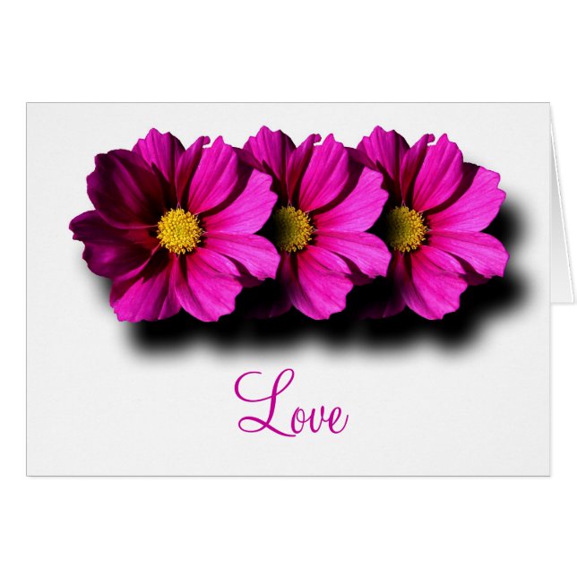 Gestapelde kosmos (Voorkant Horizontaal)