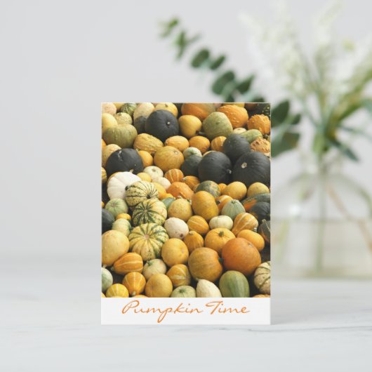 Gestapelde pompoenen briefkaart (Staand voorkant)