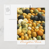 Gestapelde pompoenen briefkaart (Voorkant / Achterkant)