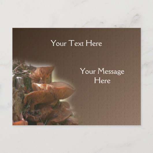 Gestapelde wilde paddenstoelen Natuur Briefkaart (Voorkant)