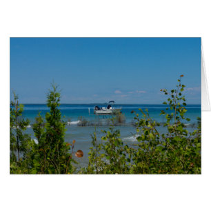 gestationeerd in de makreel