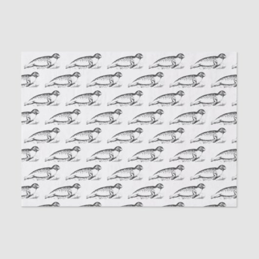  gesteriliseerd gepotte Zee Tissuepapier (Voorkant)