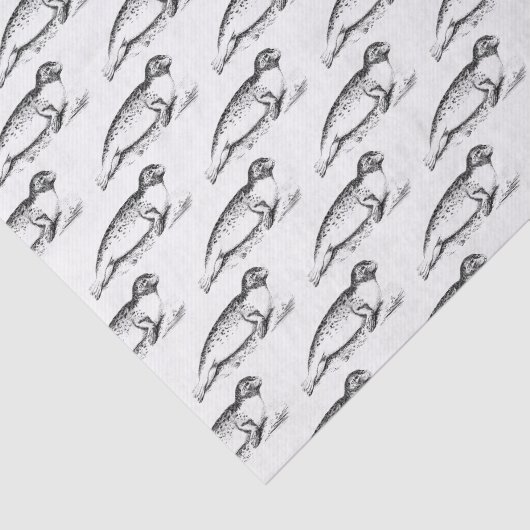  gesteriliseerd gepotte Zee Tissuepapier (Detail)